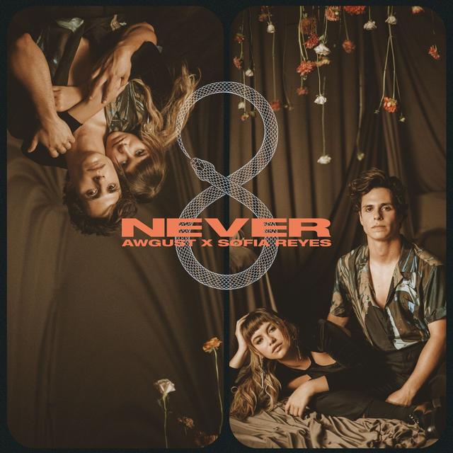 Album cover art for Never