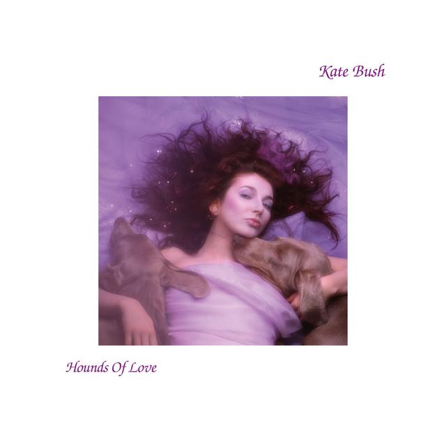 Album cover art for Hounds of Love