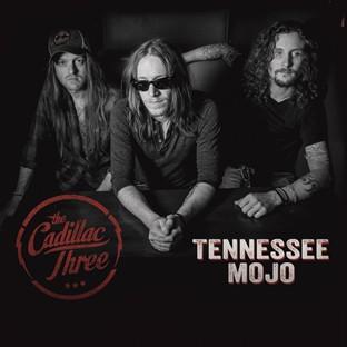 Album cover art for Tennessee Mojo