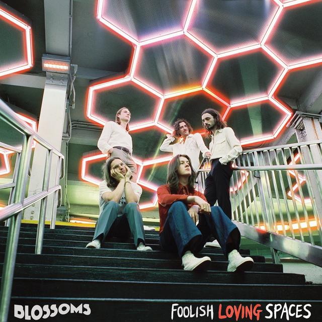 Album cover art for Foolish Loving Spaces