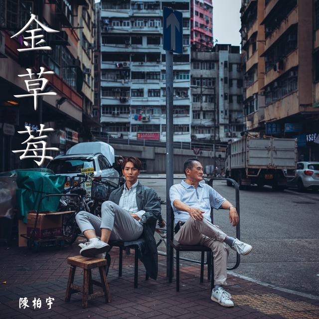 Album cover art for 金草莓