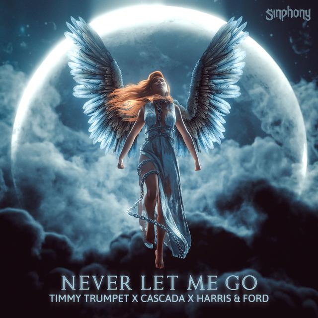 Album cover art for Never Let Me Go