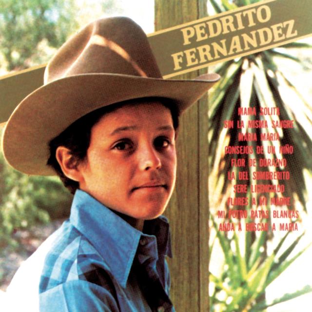 Album cover art for Pedrito Fernández