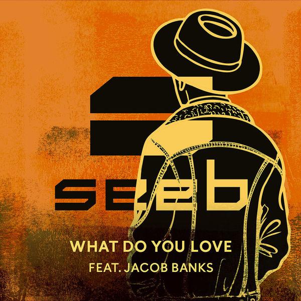 Album cover art for What Do You Love