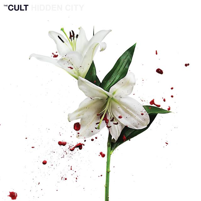 Album cover art for Hidden City