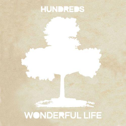 Album cover art for Wonderful Life