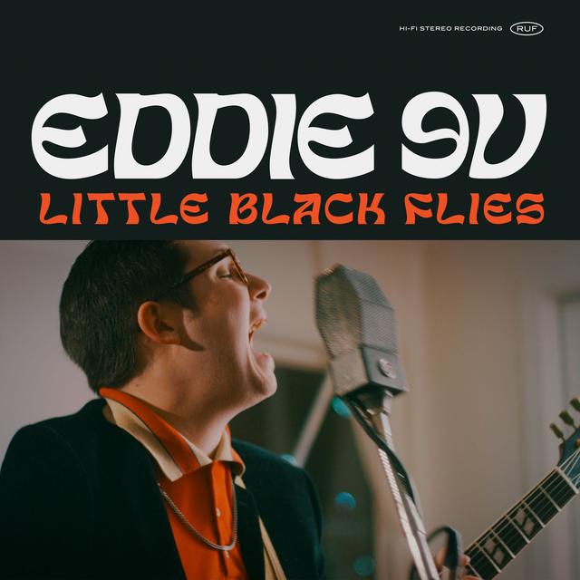 Album cover art for Little Black Flies