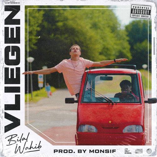 Album cover art for Vliegen