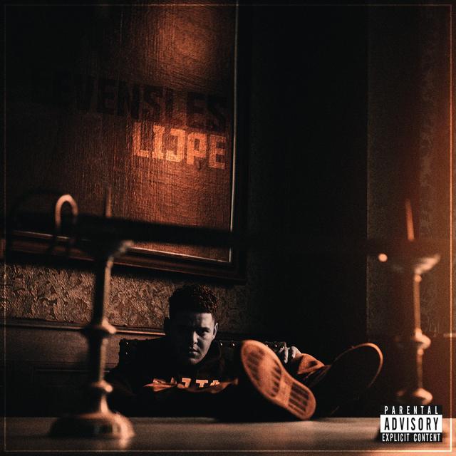 Album cover art for Levensles