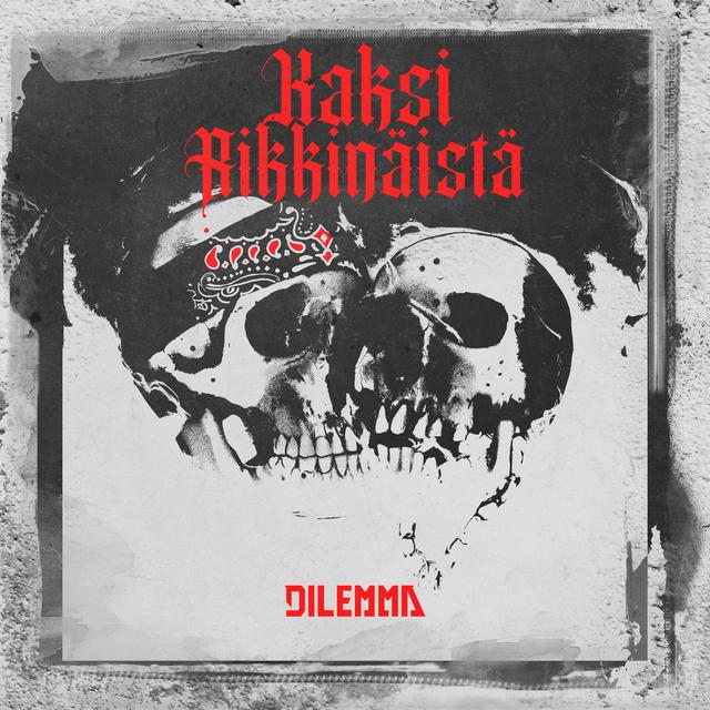 Album cover art for Kaksi rikkinäistä