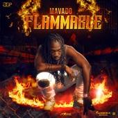 Album cover art for Flammable