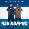 Чак Норрис (Chak Norris)