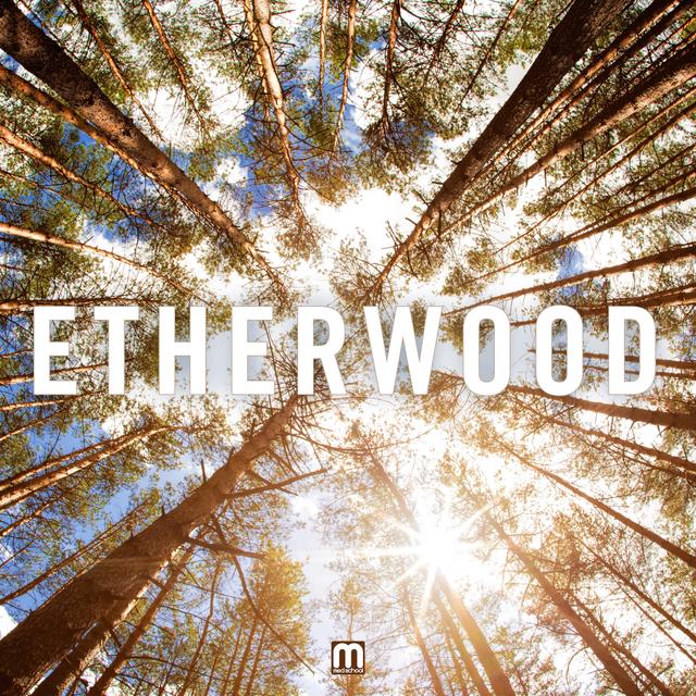 Album cover art for Etherwood