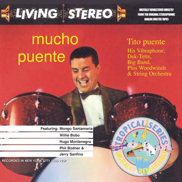 Album cover art for Mucho Puente