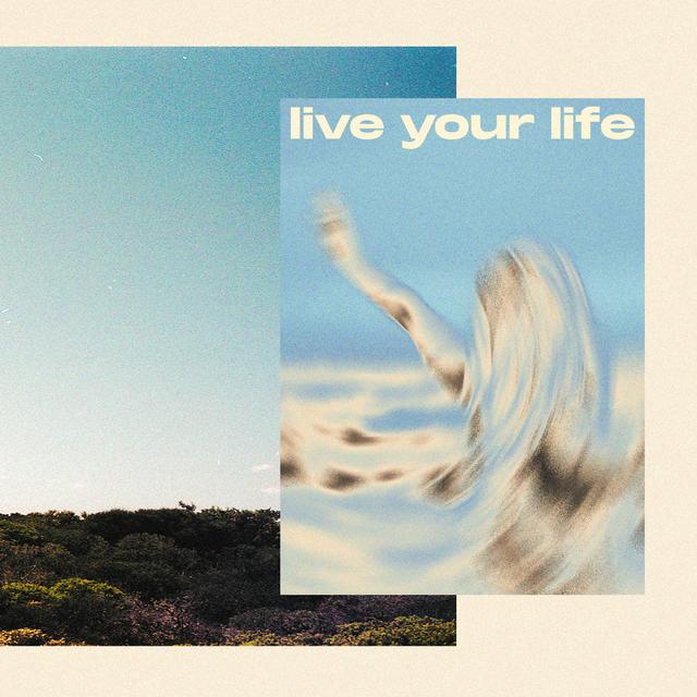 Album cover art for Live Your Life