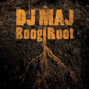 Album cover art for Boogiroot