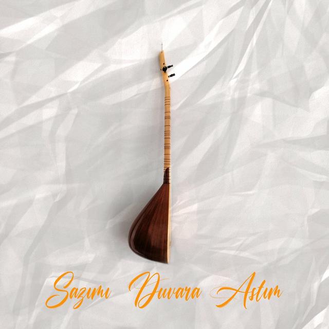 Album cover art for Sazımı Duvara Astım