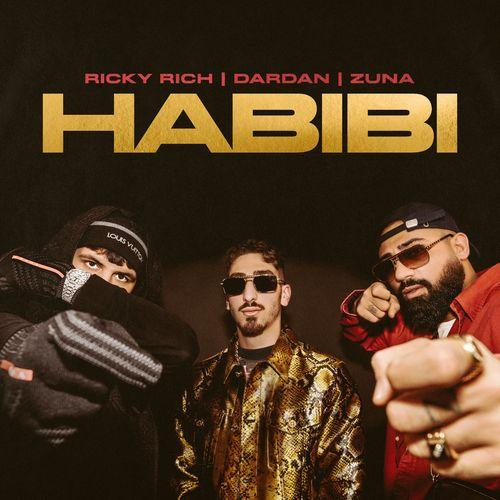 Album cover art for Habibi