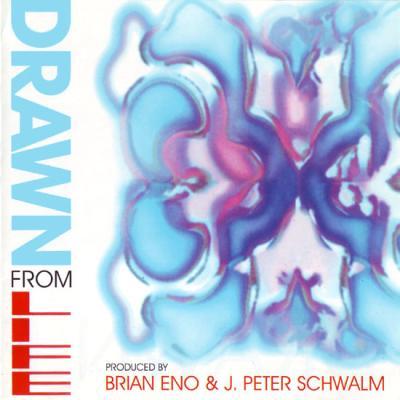 Album cover art for Drawn from Life