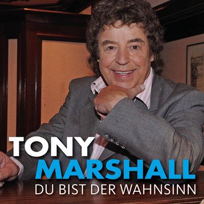 Album cover art for Du bist der Wahnsinn