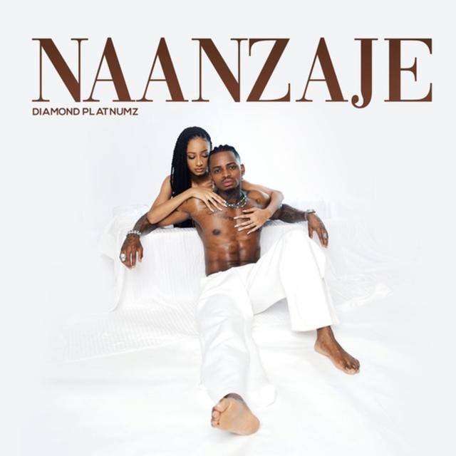 Album cover art for Naanzaje