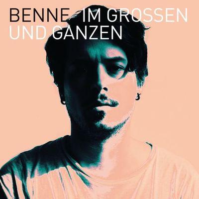 Album cover art for Im Großen und Ganzen