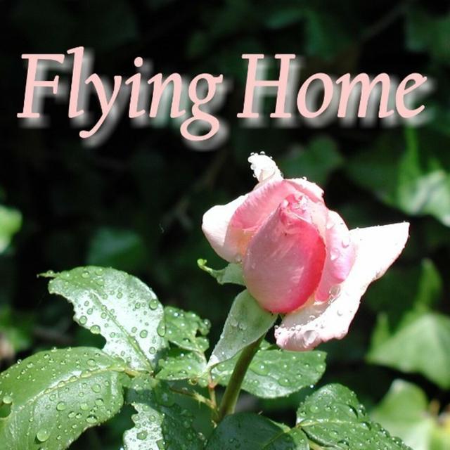 Album cover art for Flying Home