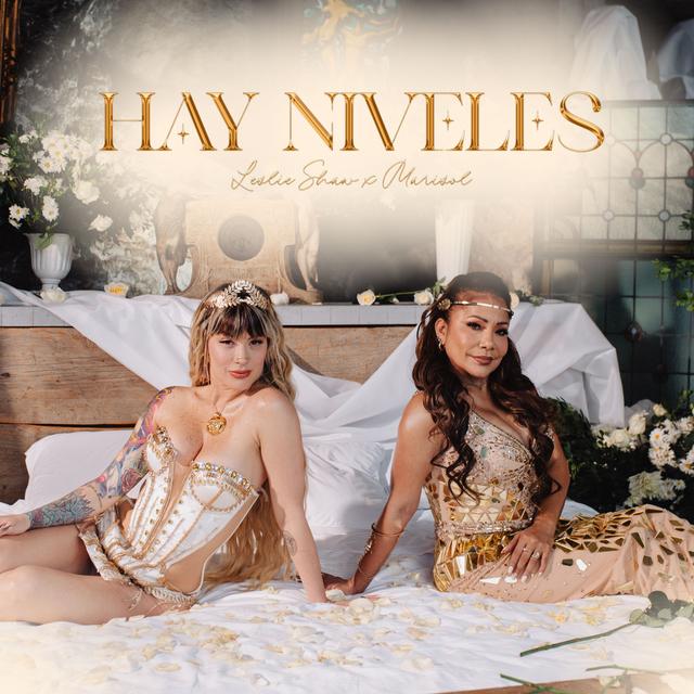 Album cover art for Hay Niveles