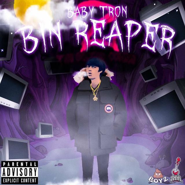 Album cover art for Bin Reaper 2