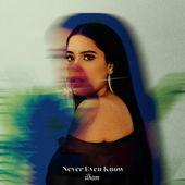 Album cover art for Never Even Know