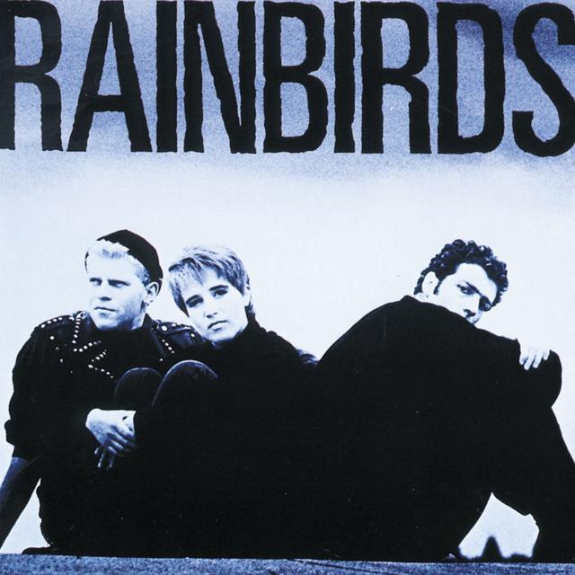 Album cover art for Rainbirds