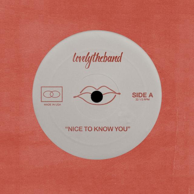 Album cover art for Nice to Know You