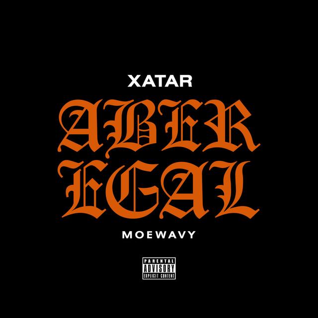 Album cover art for Aber Egal