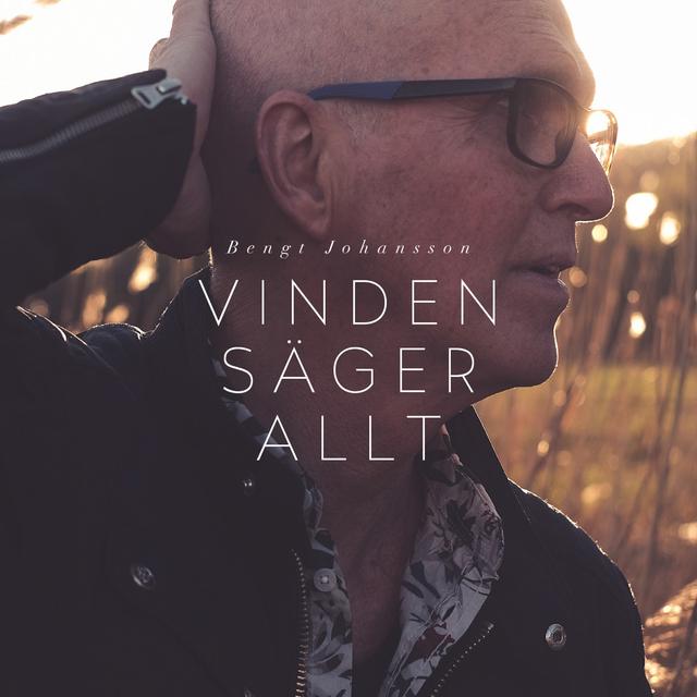 Album cover art for Vinden säger allt