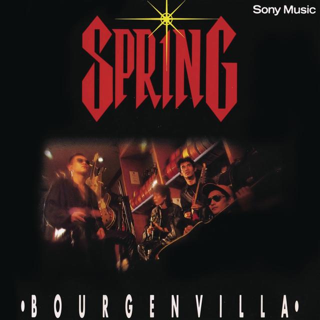 Album cover art for Bourgenvilla