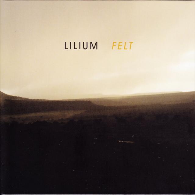 Album cover art for Felt