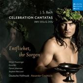 Album cover art for Bach: Celebration Cantatas - Blast Lärmen ihr Feinde, BWV 205a / Entfliehet ihr Sorgen, BWV 249a (Schäferkantate)