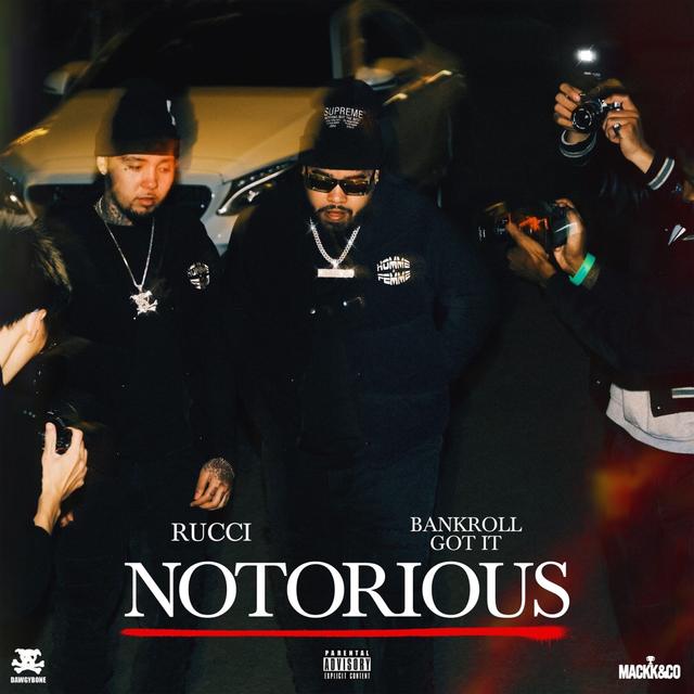 Album cover art for Notorious