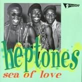 Album cover art for Sea Of Love