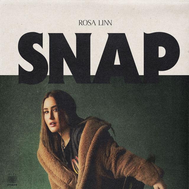 Album cover art for Snap