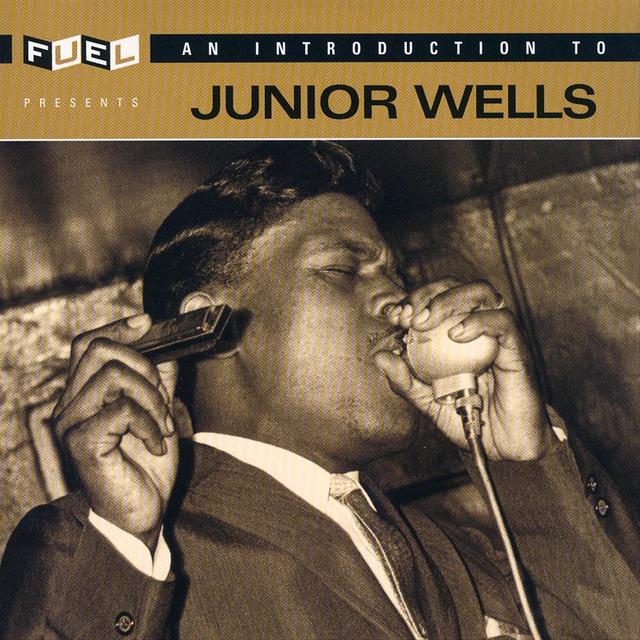 Album cover art for An Introduction to Junior Wells