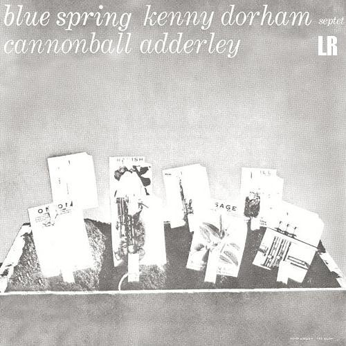 Album cover art for Blue Spring