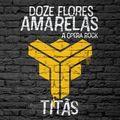 Album cover art for Doze Flores Amarelas - A Ópera Rock