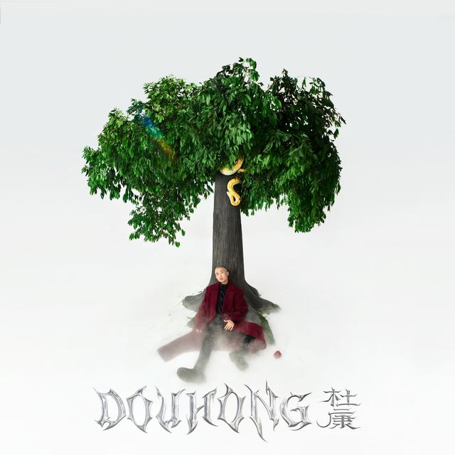 Album cover art for 杜康