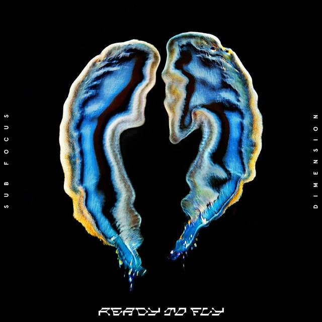 Album cover art for Ready To Fly