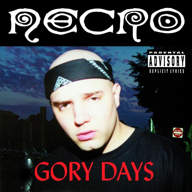 Album cover art for Gory Days