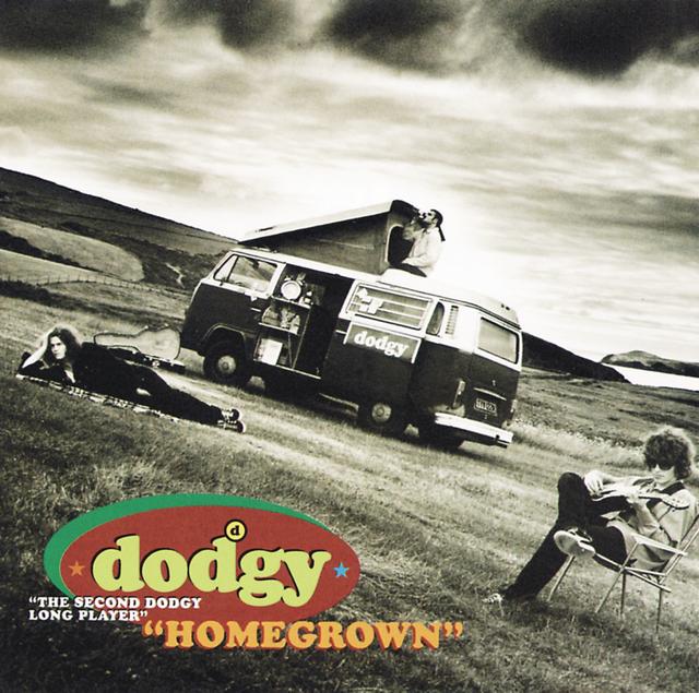 Album cover art for Homegrown