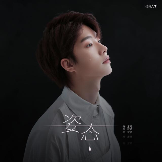 Album cover art for 姿态