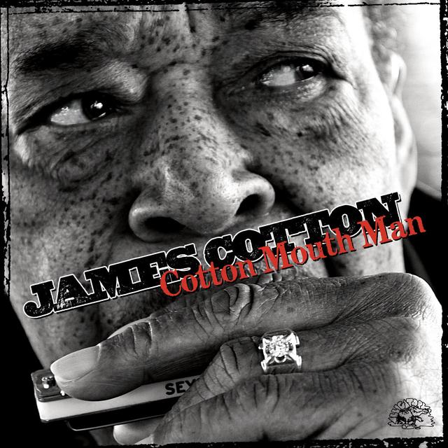 Album cover art for Cotton Mouth Man