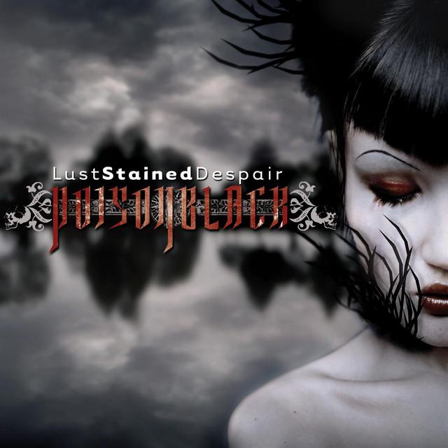 Album cover art for Lust Stained Despair